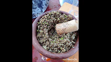 الليلة الفرحة عاشانو مع سماقية 