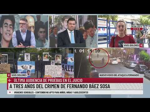 Juicio por el asesinato de Fernando Báez Sosa: los peritos de la defensa cuestionan la autopsia