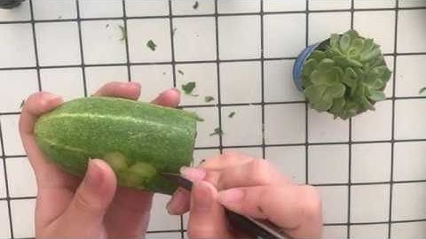How to Make Flower From Cucumber  Easy and Impressive Garnish