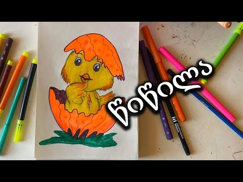 როგორ დავხატოთ წიწილა