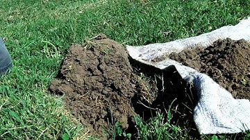 Minelab Etrac 9-1-13 -- Running an Open Screen in Pounded Park