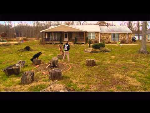 obedience-by-name!-3-dog-place-via-name-call-out!-celebrity-dog-trainer-nick-white