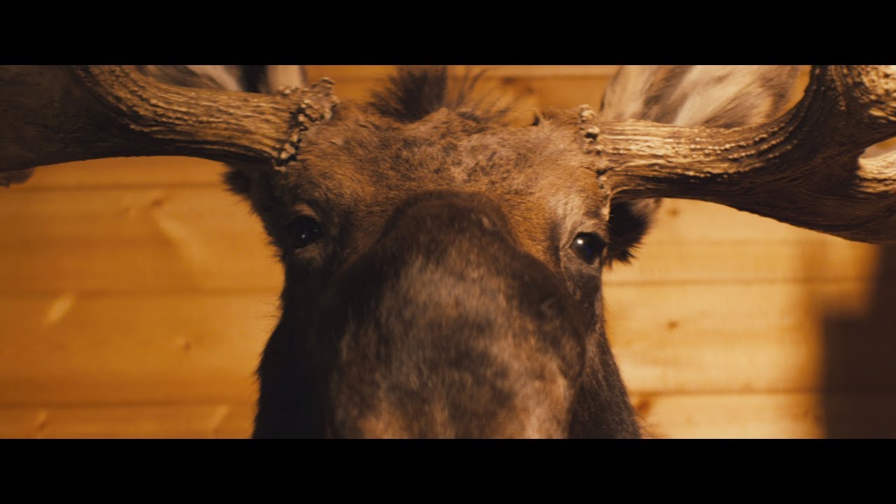 Rise n' Shine Trailer www.risenshinethemovie.com