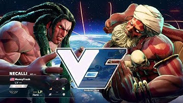 Necalli Corner 50/50