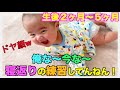 【生後２ヶ月〜】うつ伏せ＆寝返り練習！可愛い奮闘記w