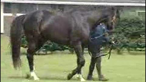 EXPLOIT - Appearance Video