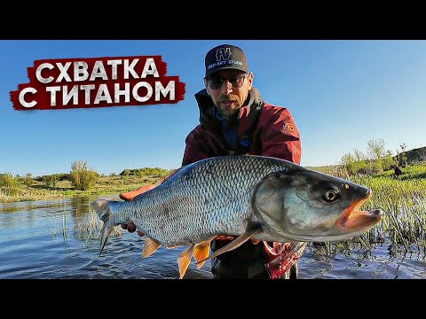 Меня ЗАТРЯСЛО, когда увидел ЭТО ЧУДОВИЩЕ! КЛЮНУЛ хозяин реки! Как поймать ГИГАНТА жереха