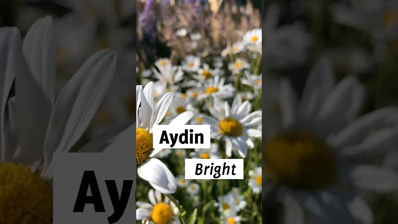 Stylish Names For Baby Boys |    Muslim Names With Meaning | #shorts #trending  #islam #baby