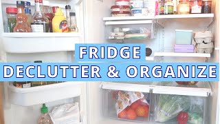 Fridge & Freezer Declutter and Organize - Day 6 | Secret Slob Spring Declutter Challenge