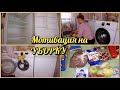 Уборка в КУХНЕ /мою Холодильник /стиральную машину /Закупка ПРОДУКТОВ