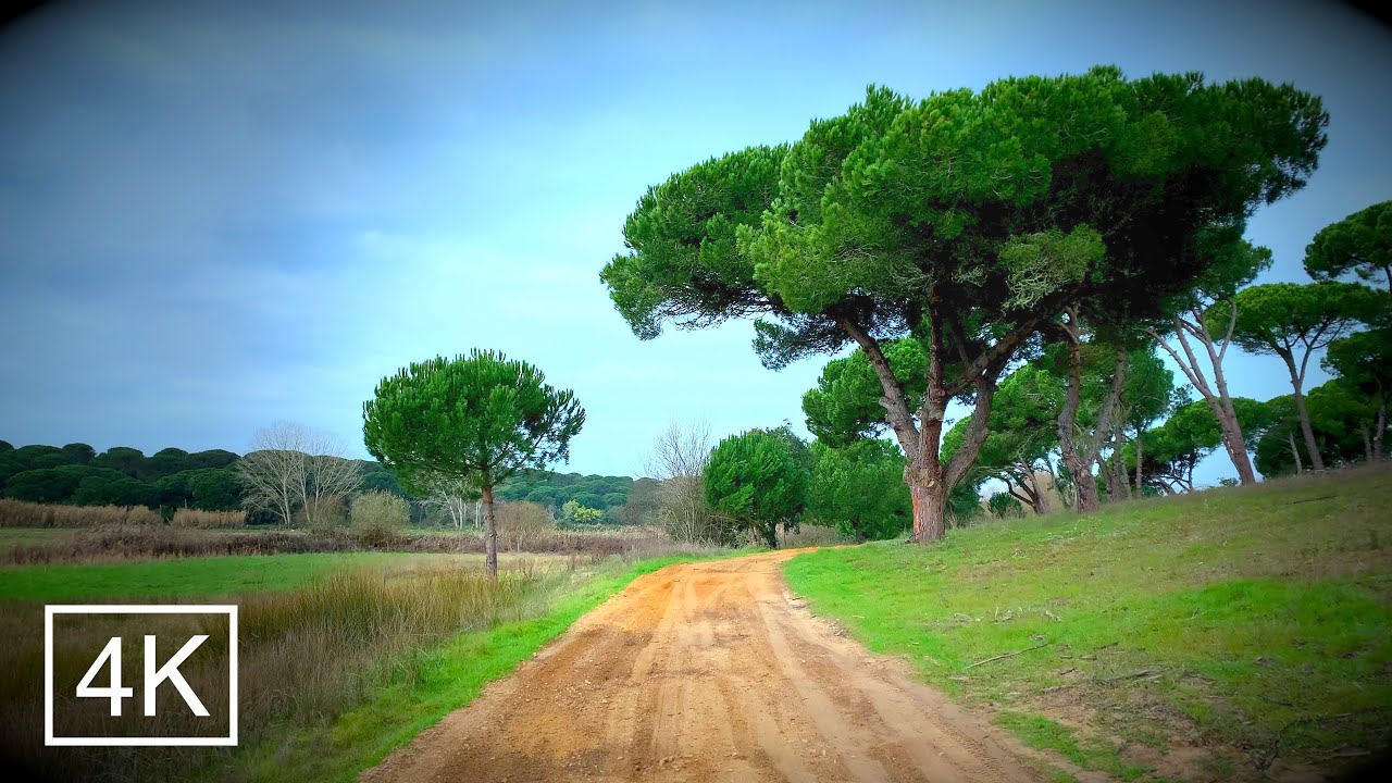 Walking in the Countryside - Lake of Lagoa Pequena, Meco, Portugal 🇵🇹 4K