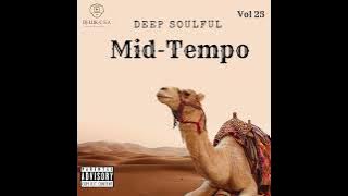 Deep Soulful Mid-Tempo Vol 25 Mixed Dj Luk-C S.A