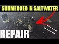 How To Fix It, I Dropped My Spinning Reel In Saltwater