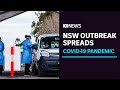 NSW COVID infections out in the community too high, Premier Gladys Berejiklian warns | ABC News