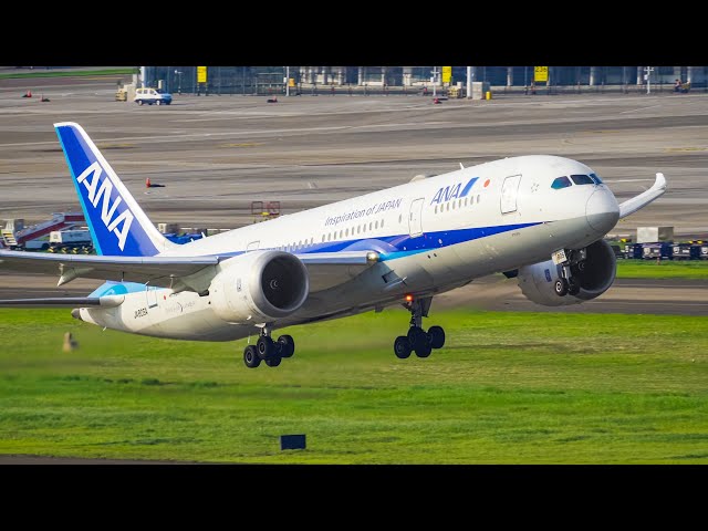 【超美品】全日空商事 ANA B787-8 DREAMLINER NH20048 ANA NH966 Shenzhen-Tokyo Haneda Boeing 787-8 Dreamliner New