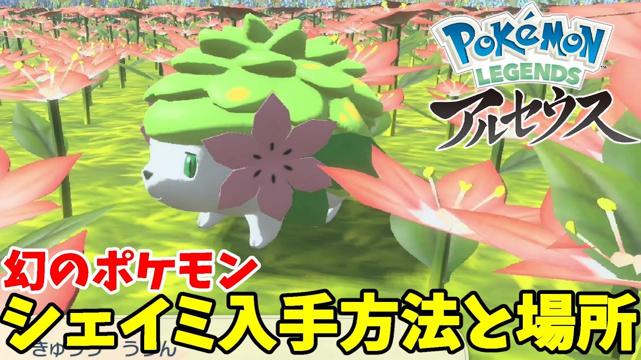 幻のポケモンシェイミの入手方法と出現場所 ポケモンレジェンズアルセウス Youtube