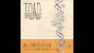 Watch Toad The Wet Sprocket Im Not Waiting video
