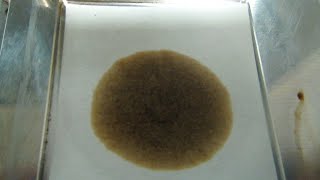 Compatibility Test ll Fuel Oil Compatibility Test ll Full procedure explained ll NKS MARINER Wealth