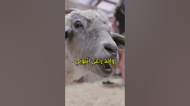 اغرب قهوة في الجزائر