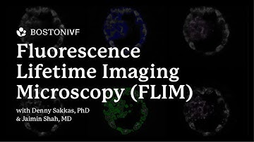 Fluorescence Lifetime Imaging Microscopy (FLIM) | Dr. Shah & Dr. Sakkas