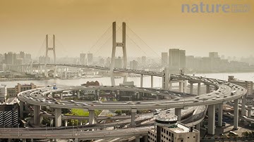 Timelapse of traffic on the Nanpu Bridge spiral, Shanghai, China, 2011.