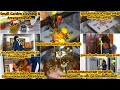 My pooja  household chores  panguni uthiram 2024 vel maral pooja  garden cleaning  pooja tips