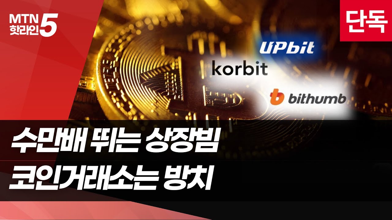 [단독] 수만배 뛴 무브먼트 막을 수 있었지만…코인거래소 무늬만 대응에 터졌다 / 머니투데이방송 (뉴스)