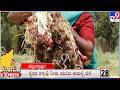 Karnataka Express: Todays Top Regional News Stories Of The State (19-04-2026)