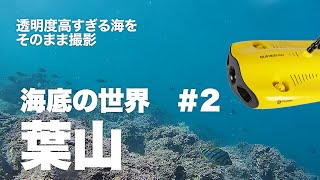 【美しい葉山の海底】水中ドローンによる映像。湘南、西湘とつながる相模湾は日本で数少ない湾内に1000メートルを超える海溝が存在する豊かな海です。