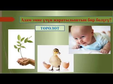 Video: Дистанттык окутуу деген эмне