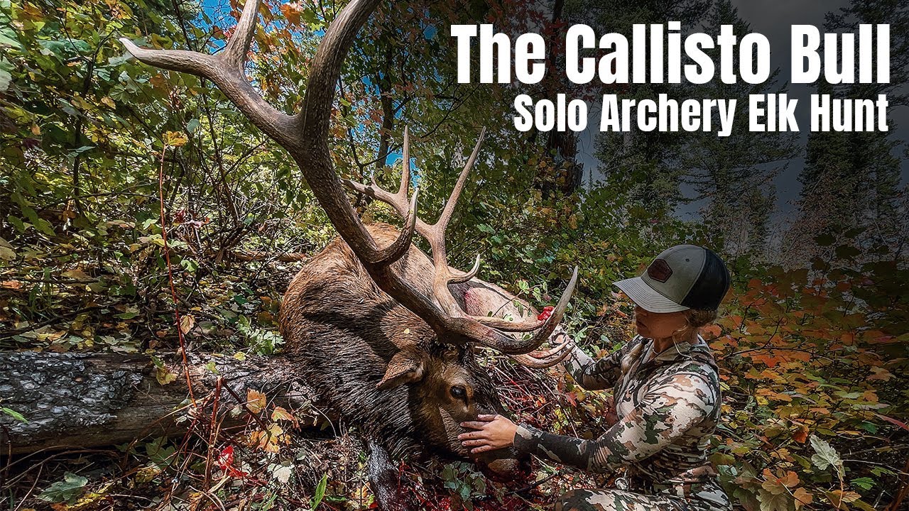The Callisto Bull 2021 Idaho Archery Elk YouTube