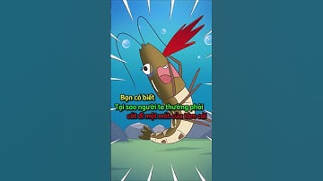 Bạn có biết tại sao người ta thường cắt đi một mắt của tôm cái?