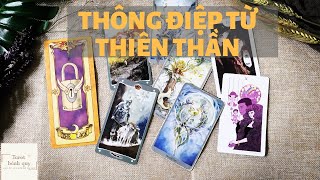Thông điệp từ thiên thần - Chọn 1 tụ bài Tarot bánh quy