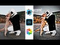 New Hdr+orange effect in android || By Shobi Editx