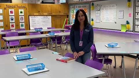 Christine Anderson  on Teaching Implementing the Go Math Curriculum