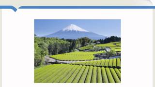 Industry Builds on Agriculture