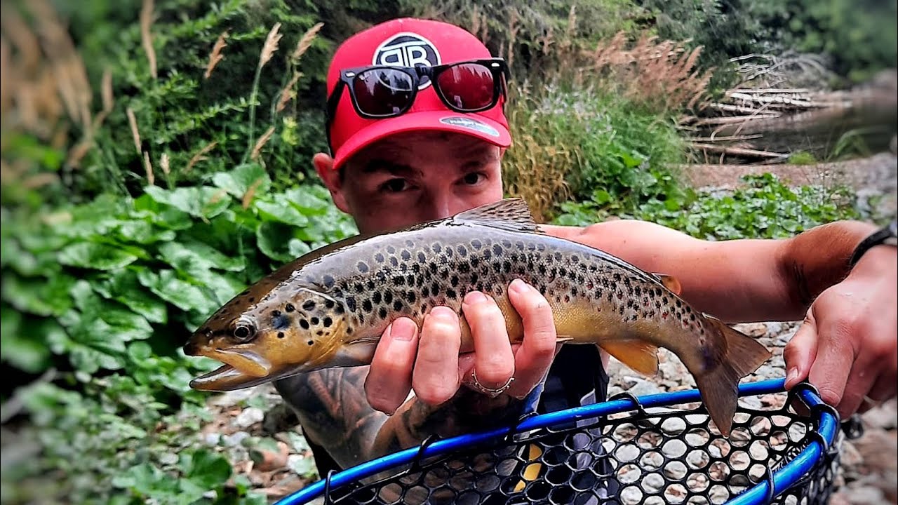 MAGIA PESCUITULUI LA PASTRAV IN DODA PILII🏔️🇷🇴