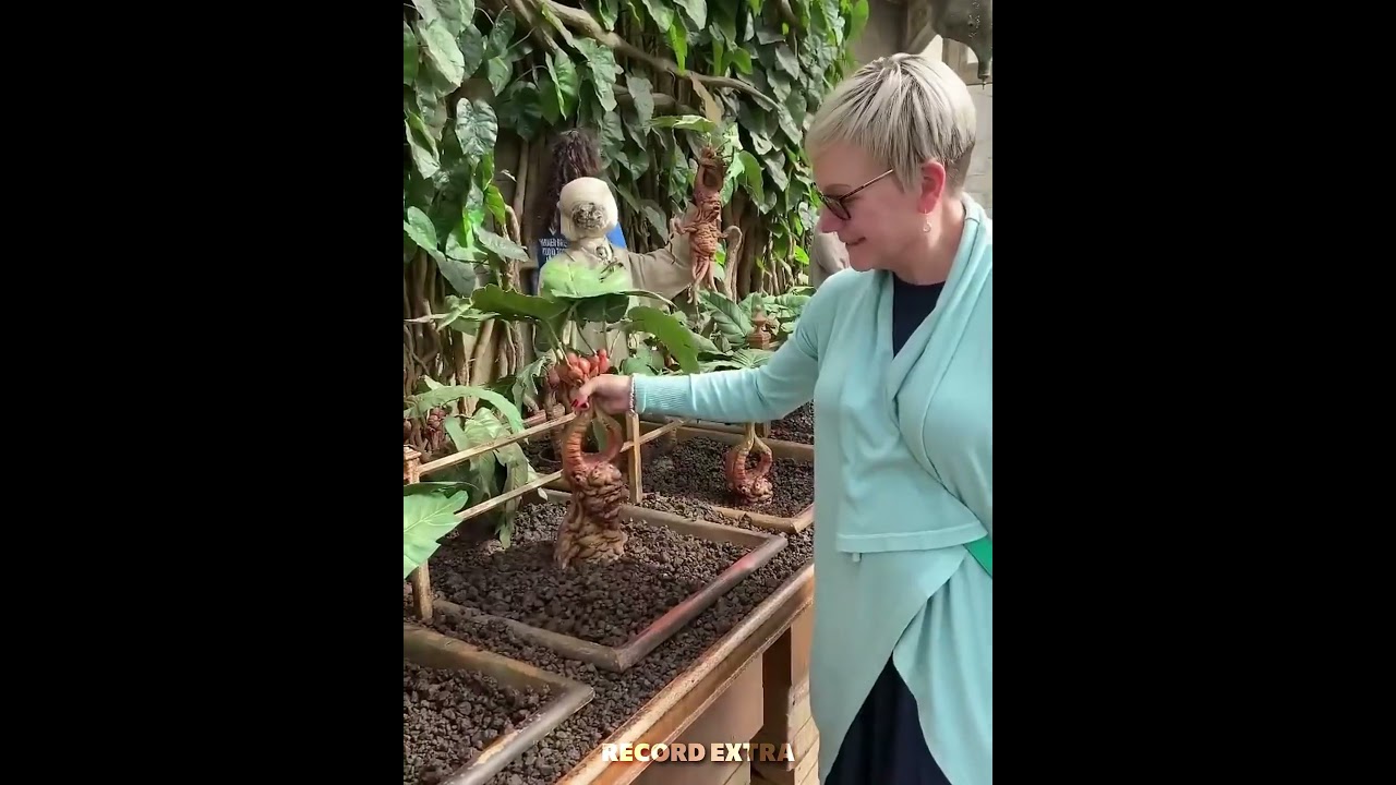 #редактировать