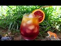 Circle of life punch  the lion king inspired drink