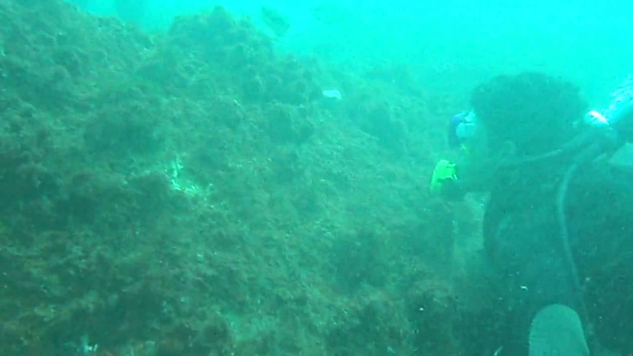 plongée m'diq Plongée Maroc Diving Morocco YouTube