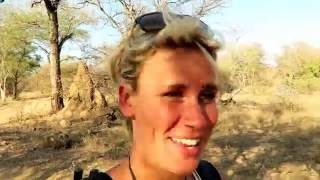 Locating Lost Dwarf Mongooses - The Wildlife Field Researcher Experience (Long Version)