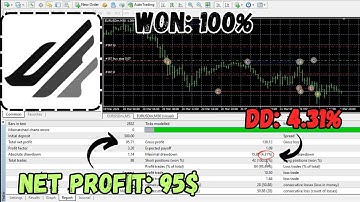 Wolf Scalper EA | MT4 Expert Advisor Review, Setup & Backtest (M1/M5 Scalping)