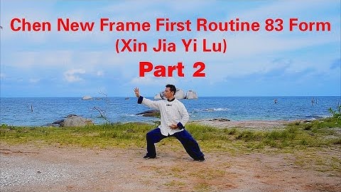 Chen Tai Chi New Frame First Routine (Xin Jia Yi Lu) 83 Form陈氏太极拳新架一路83式 - Part 2