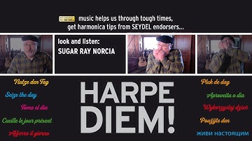 HARPE DIEM! Less is more - how to accompany a singer - by Sugar Ray Norcia - SEYDEL
