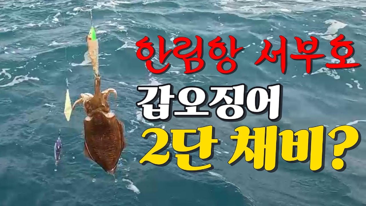 2025.1.14.제주 한림항 서부호 갑이낚시★팀어부바 동출★잘먹힌 에기는?★2단채비의 효과