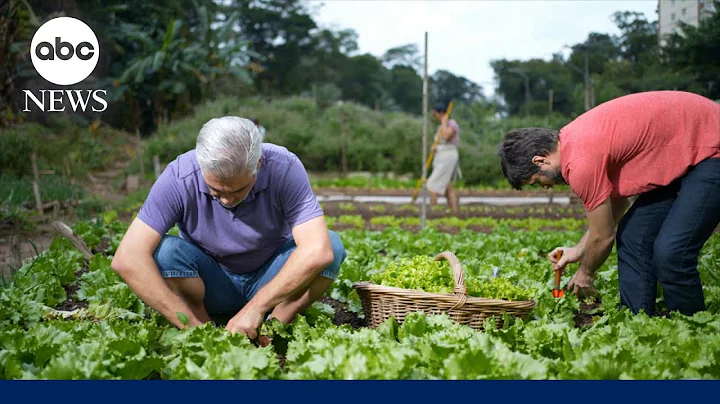 President of America Soybean Association reacts to the $12B bailout