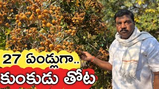 కుంకుడు కాయ 12 ఎకరాల్లో 27 ఏండ్లుగా పండిస్తున్న | Reetha/Soapnut Farming