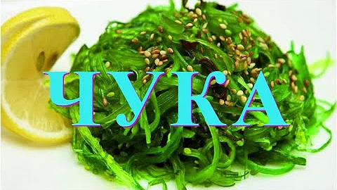 ЧУКА (морские водоросли) ПОЛЬЗА и ВРЕД