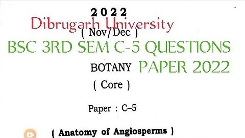 BSc 3rd Sem Botany Major Question Paper | C-5 | 2022 | Dibrugarh University | Anatomy Of Angiosperms