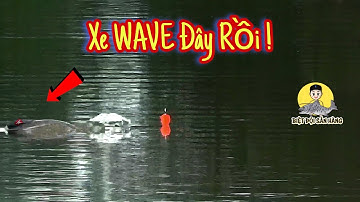 Câu Lục | Trở Lại Hồ Câu Định Công Quấn Ổ Trắm Đen Đeo Khuyên